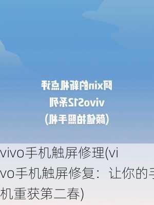 vivo手机触屏修理(vivo手机触屏修复：让你的手机重获第二春)