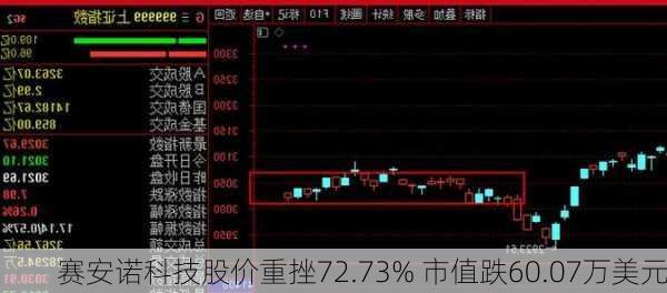 赛安诺科技股价重挫72.73% 市值跌60.07万美元