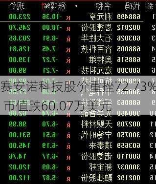 赛安诺科技股价重挫72.73% 市值跌60.07万美元