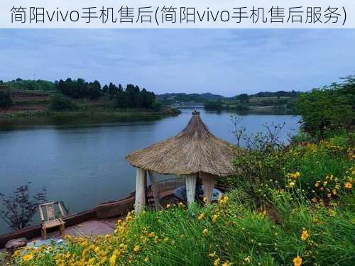 简阳vivo手机售后(简阳vivo手机售后服务)