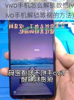 vivo手机怎么解锁数据(vivo手机解锁数据的方法)