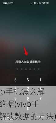 vivo手机怎么解锁数据(vivo手机解锁数据的方法)