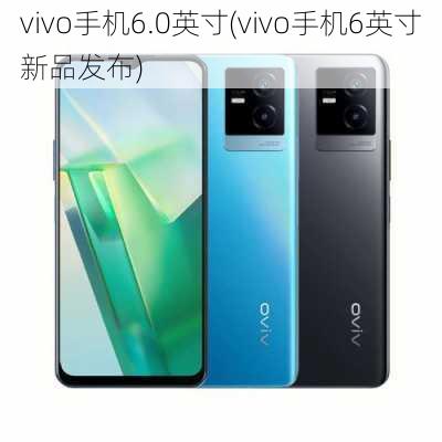 vivo手机6.0英寸(vivo手机6英寸新品发布)