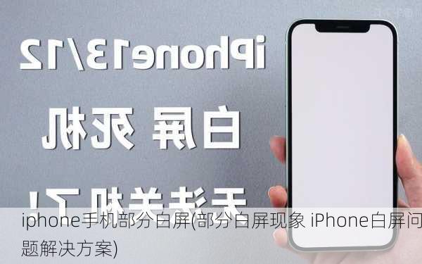 iphone手机部分白屏(部分白屏现象 iPhone白屏问题解决方案)