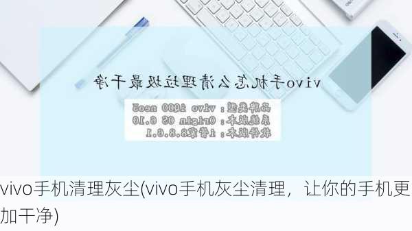 vivo手机清理灰尘(vivo手机灰尘清理，让你的手机更加干净)