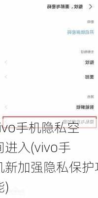 vivo手机隐私空间进入(vivo手机新加强隐私保护功能)