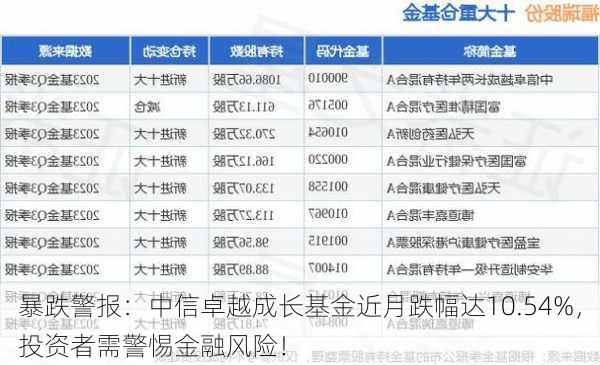 暴跌警报：中信卓越成长基金近月跌幅达10.54%，投资者需警惕金融风险！