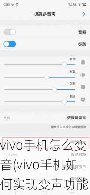 vivo手机怎么变音(vivo手机如何实现变声功能？)