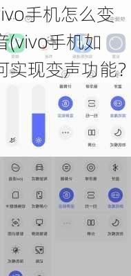 vivo手机怎么变音(vivo手机如何实现变声功能？)