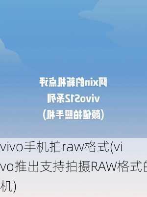 vivo手机拍raw格式(vivo推出支持拍摄RAW格式的手机)