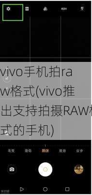 vivo手机拍raw格式(vivo推出支持拍摄RAW格式的手机)