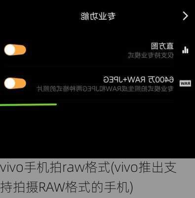 vivo手机拍raw格式(vivo推出支持拍摄RAW格式的手机)