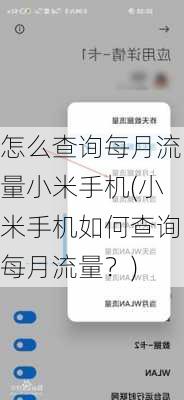 怎么查询每月流量小米手机(小米手机如何查询每月流量？)