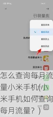 怎么查询每月流量小米手机(小米手机如何查询每月流量？)
