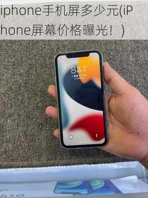 iphone手机屏多少元(iPhone屏幕价格曝光！)