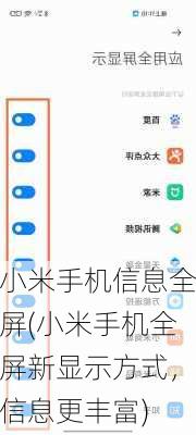 小米手机信息全屏(小米手机全屏新显示方式，信息更丰富)