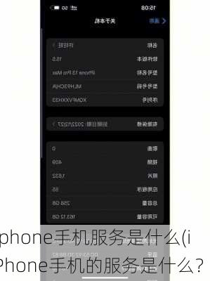 iphone手机服务是什么(iPhone手机的服务是什么？)