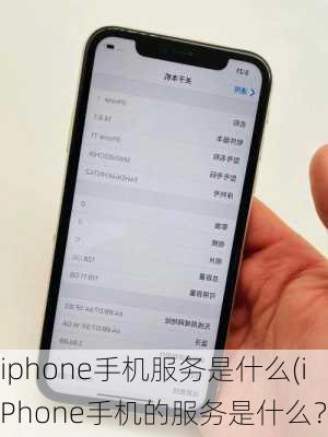 iphone手机服务是什么(iPhone手机的服务是什么？)