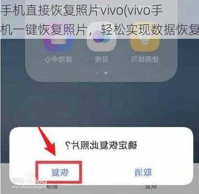 手机直接恢复照片vivo(vivo手机一键恢复照片，轻松实现数据恢复)