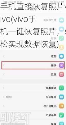 手机直接恢复照片vivo(vivo手机一键恢复照片，轻松实现数据恢复)