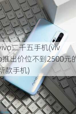 vivo二千五手机(vivo推出价位不到2500元的新款手机)