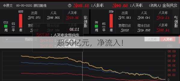 超50亿元，净流入！