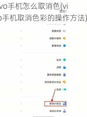 vivo手机怎么取消色(vivo手机取消色彩的操作方法)