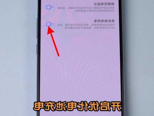 vivo手机怎样充电池