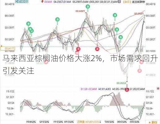 马来西亚棕榈油价格大涨2%，市场需求回升引发关注