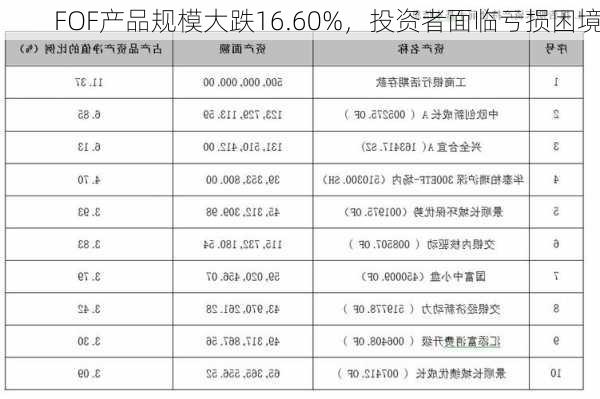 FOF产品规模大跌16.60%，投资者面临亏损困境