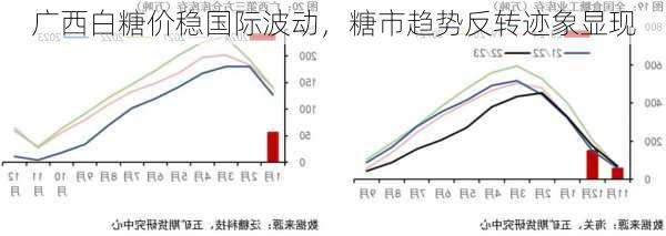 广西白糖价稳国际波动，糖市趋势反转迹象显现