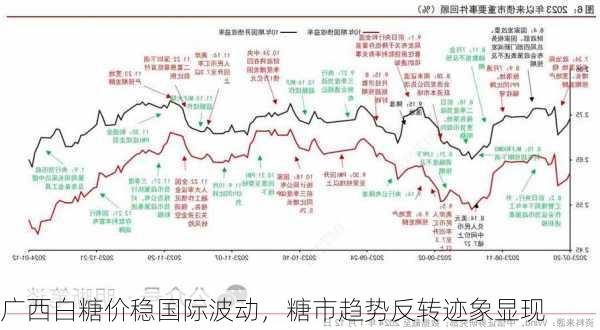 广西白糖价稳国际波动，糖市趋势反转迹象显现