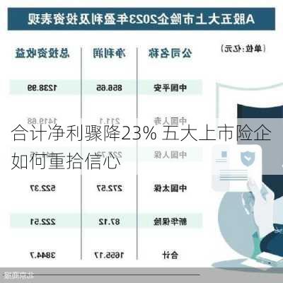 合计净利骤降23% 五大上市险企如何重拾信心