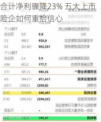 合计净利骤降23% 五大上市险企如何重拾信心