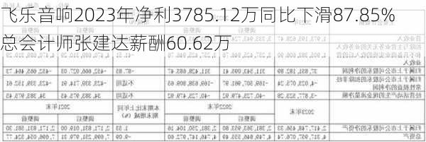 飞乐音响2023年净利3785.12万同比下滑87.85% 总会计师张建达薪酬60.62万