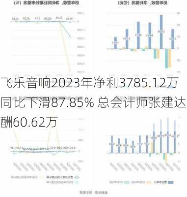 飞乐音响2023年净利3785.12万同比下滑87.85% 总会计师张建达薪酬60.62万