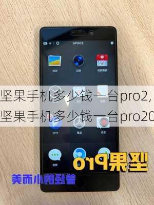 坚果手机多少钱一台pro2,坚果手机多少钱一台pro20