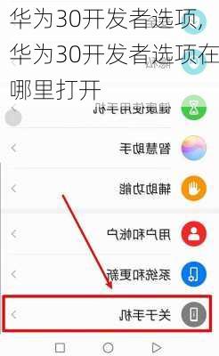 华为30开发者选项,华为30开发者选项在哪里打开