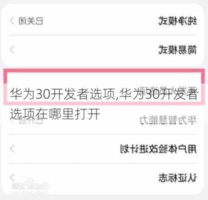 华为30开发者选项,华为30开发者选项在哪里打开