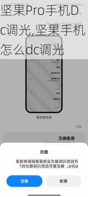 坚果Pro手机Dc调光,坚果手机怎么dc调光