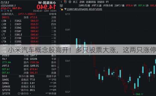 小米汽车概念股高开！多只股票大涨，这两只涨停