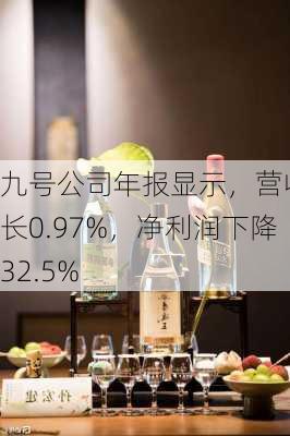 九号公司年报显示，营收增长0.97%，净利润下降32.5%