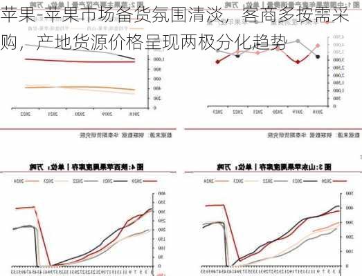 苹果-苹果市场备货氛围清淡，客商多按需采购，产地货源价格呈现两极分化趋势