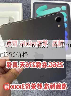 苹果mini256g报价,苹果mini256价格