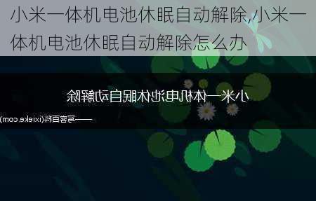 小米一体机电池休眠自动解除,小米一体机电池休眠自动解除怎么办