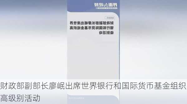 财政部副部长廖岷出席世界银行和国际货币基金组织高级别活动