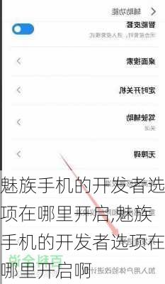 魅族手机的开发者选项在哪里开启,魅族手机的开发者选项在哪里开启啊