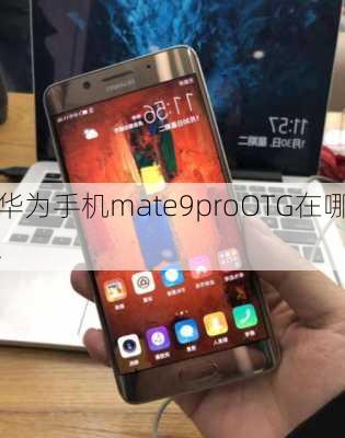 华为手机mate9proOTG在哪,