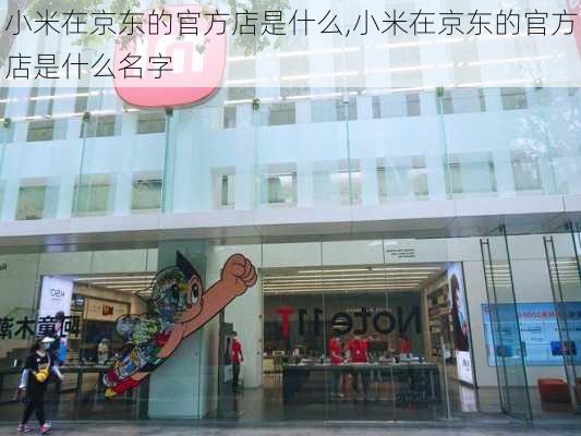 小米在京东的官方店是什么,小米在京东的官方店是什么名字