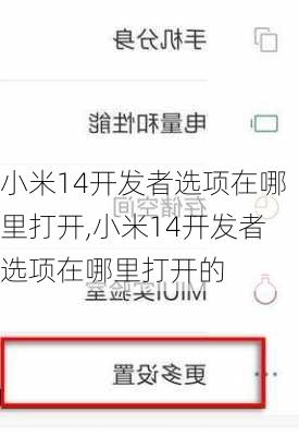 小米14开发者选项在哪里打开,小米14开发者选项在哪里打开的